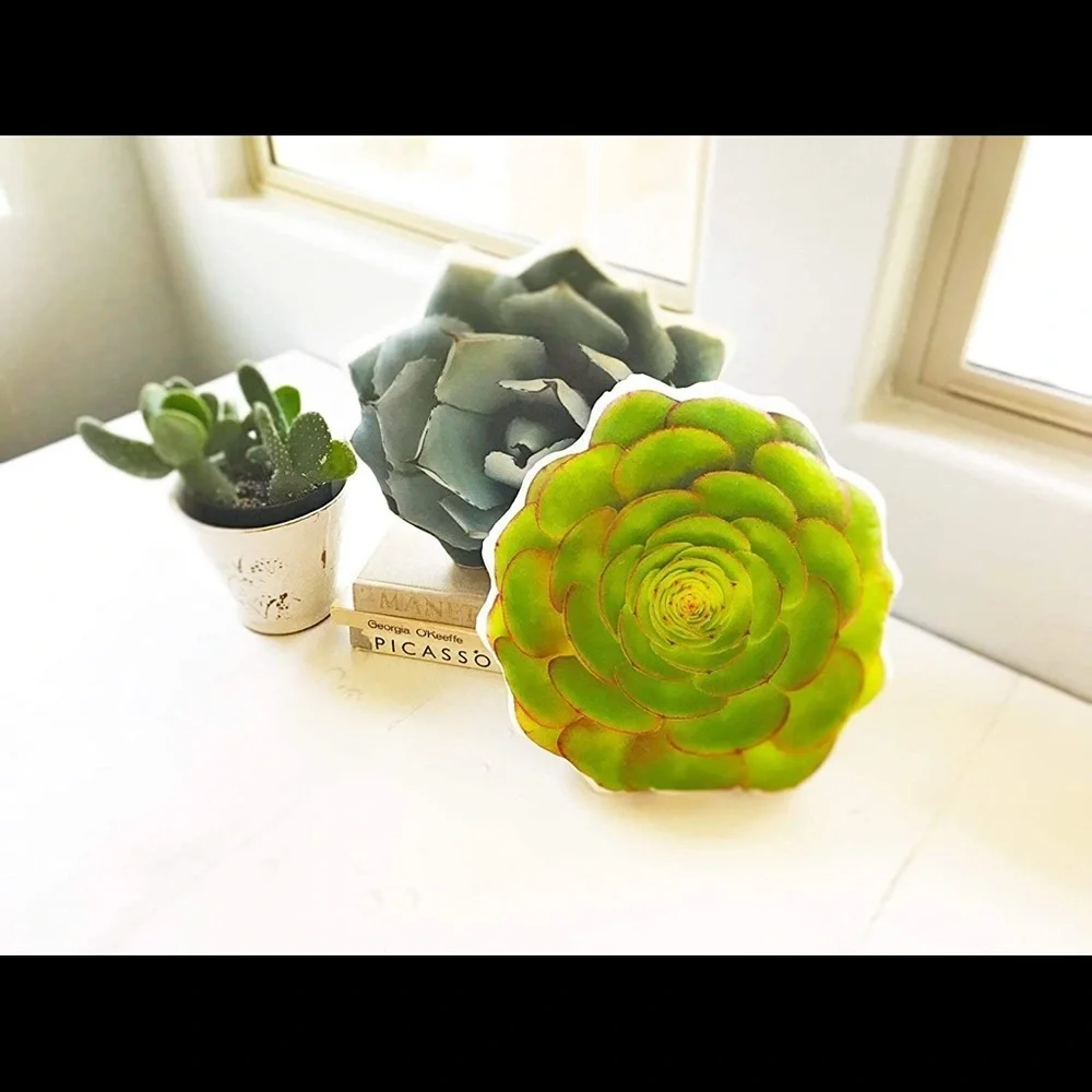 🆕 Fire Rosetta Succulent Linen Pillow